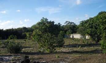 Imagem: PROMOÇÃO TERRENO EM PIUM 2.000M²