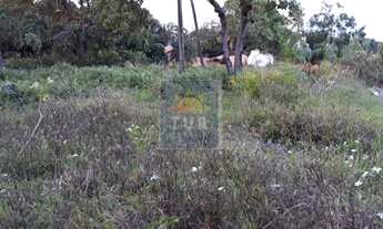 Imagem 5: TERRENO EM PIRANGI COM 824 M²