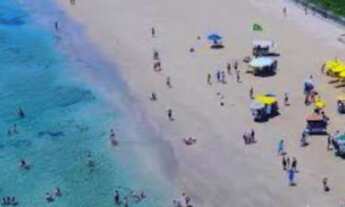 Imagem 2: TANGORA CUPE FLAT