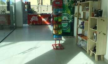 Imagem 4: TANGORA CUPE FLAT