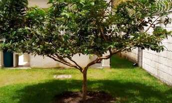 Imagem 7: CONDOMÍNIO RESIDENCIAL VILLA DAS GOIABEIRAS