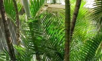 Imagem 6: EDF. BOM CONSELHO