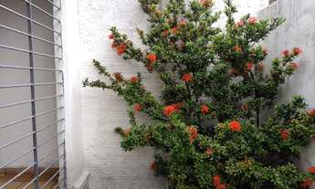 Imagem 3: CASA RESID. RUA CAPITÃO ANTÔNIO DA ROCHA - IBURA