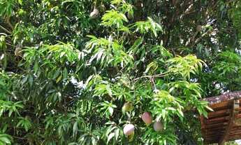 Imagem 6: CASA RESIDECIAL RUA CARLOS LIMA - TABATINGA