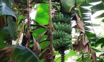 Imagem 7: CASA RESIDECIAL RUA CARLOS LIMA - TABATINGA