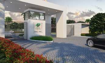 Imagem: RAÍZES DE ALDEIA