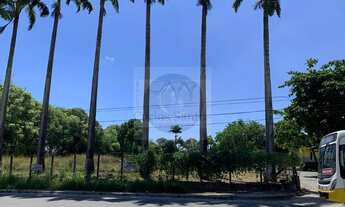 Imagem: Terreno/Loteamento para Locação em Curado