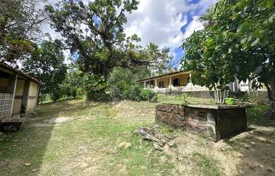 Imagem 3: Rural à Venda em Guabiraba