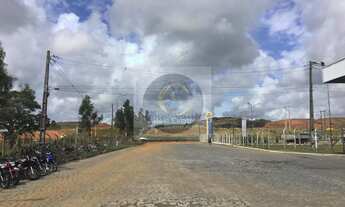 Imagem 3: Galpão/Prédio Comercial para Locação em Suape