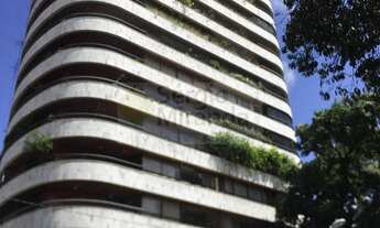 Imagem 2: Edf. Maria Virginia, jaqueira