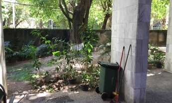 Imagem 4: Edf. Maria Virginia, jaqueira