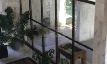 Imagem 5: Edf. Maria Virginia, jaqueira