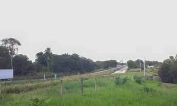 Imagem 6: TERRENO EM PAUDALHO