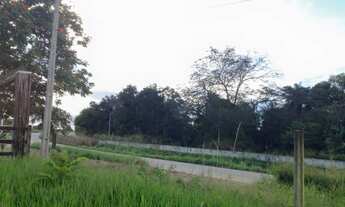 Imagem 2: TERRENO EM PAUDALHO