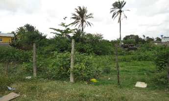 Imagem 2: TERRENO - PRAZERES