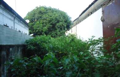 Imagem 4: TERRENO à Venda