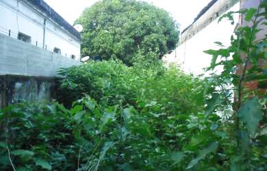 Imagem 5: TERRENO à Venda