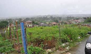 Imagem 4: TERRENO EM SÃO LORENÇO DA MATA