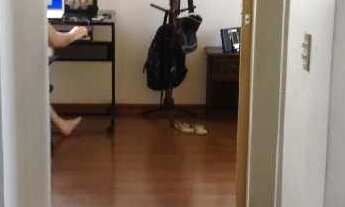 Imagem 6: EDF VIA BRESCIA Apartamento com 2 dormitórios