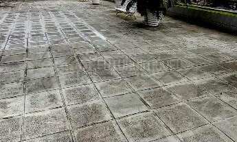 Imagem 3: Apartamento 03 quartos, suíte, em Boa Viagem - Edf. Catalina