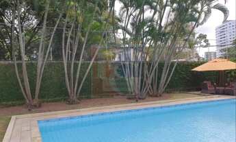 Imagem 7: FOLHA DE ACANTHUS