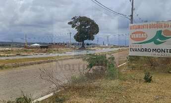 Imagem 2: LOTEAMENTO BOSQUE DO JANGA