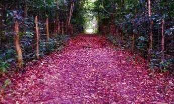 Imagem 5: HARAS DE BONANZA RESIDENCE