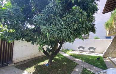 Imagem 4: Casa na Lagoa do Araçá