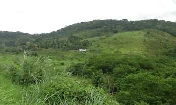 Imagem 3: TERRENO NO CABO DE SANTO AGOSTINHO