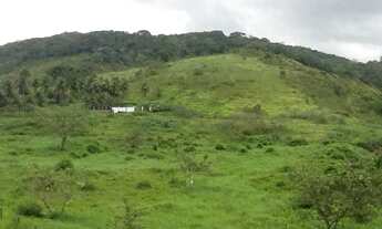 Imagem 5: TERRENO NO CABO DE SANTO AGOSTINHO
