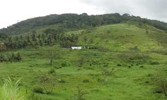 Imagem 6: TERRENO NO CABO DE SANTO AGOSTINHO