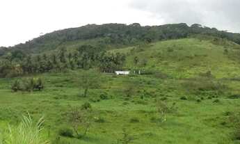 Imagem 7: TERRENO NO CABO DE SANTO AGOSTINHO