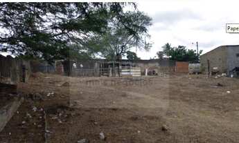 Imagem: Casa Com Terreno