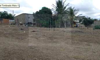 Imagem 3: Casa Com Terreno