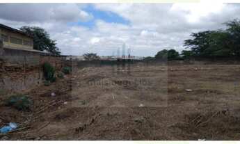 Imagem 5: Casa Com Terreno