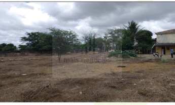 Imagem 6: Casa Com Terreno