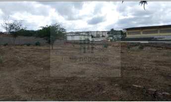 Imagem 7: Casa Com Terreno