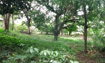 Imagem 5: GRANJA EM BAYEUX