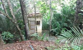 Imagem 7: GRANJA EM BAYEUX