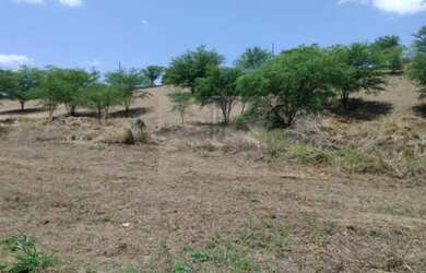 Imagem: LOTE NO CAMPOS DO CONDE