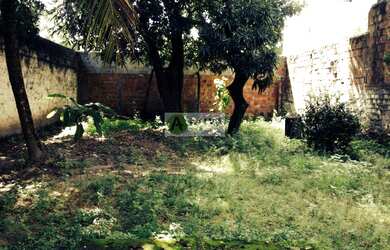 Imagem 5: CASA NO ESPINHEIRO