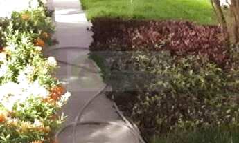 Imagem 3: CASA NO PRADO Apartamento com 3 dormitórios