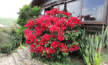 Imagem 4: CASA EM GRAVATÁ