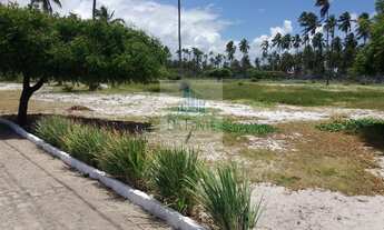 Imagem 5: Loteamento Peroba Beach