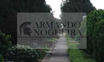 Imagem 4: PRIVE ALAMEDA DOS PINHEIROS II