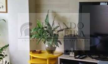 Imagem 7: AYRTON ALMEIDA CARVALHO