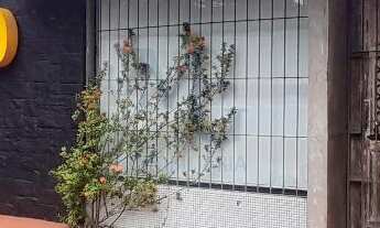 Imagem 3: Casa para Locação em Pina