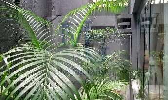 Imagem 6: Imóvel Comercial em Casa Forte