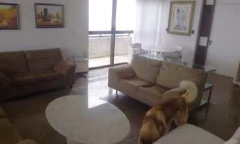 Imagem 5: EDF IBIZA à Venda