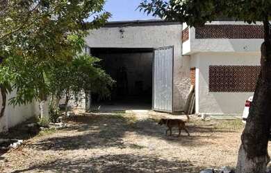 Imagem: GALPAO EM BARRA